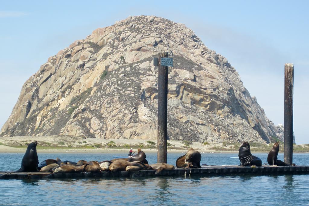 Morro Crest Inn Morro Bay Buitenkant foto