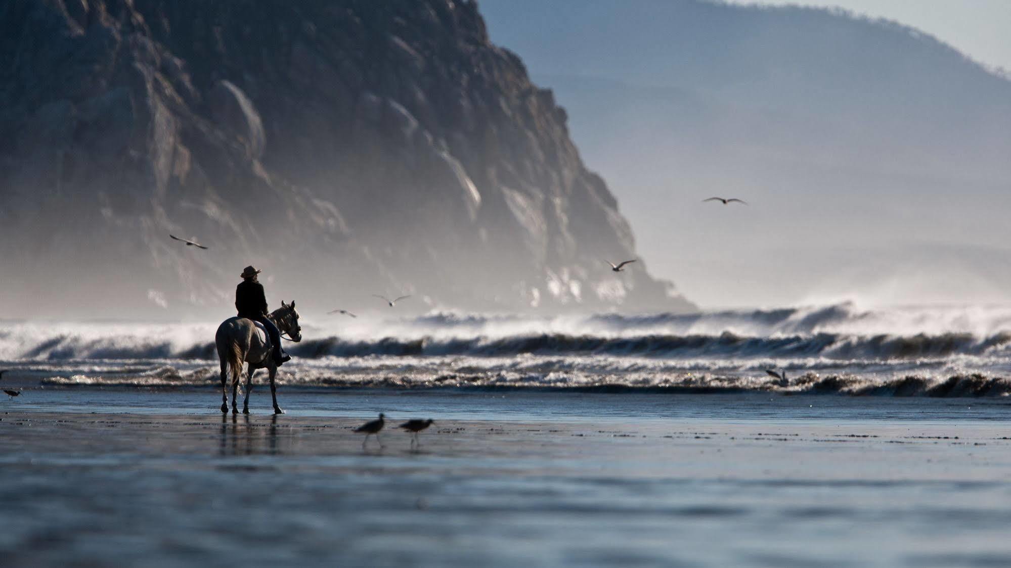 Morro Crest Inn Morro Bay Buitenkant foto